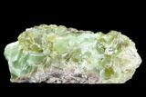 9.9" Free-Standing Green Calcite Display - Chihuahua, Mexico - #129475-1